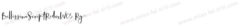 BellissimaScriptReduxW05 Rg字体转换